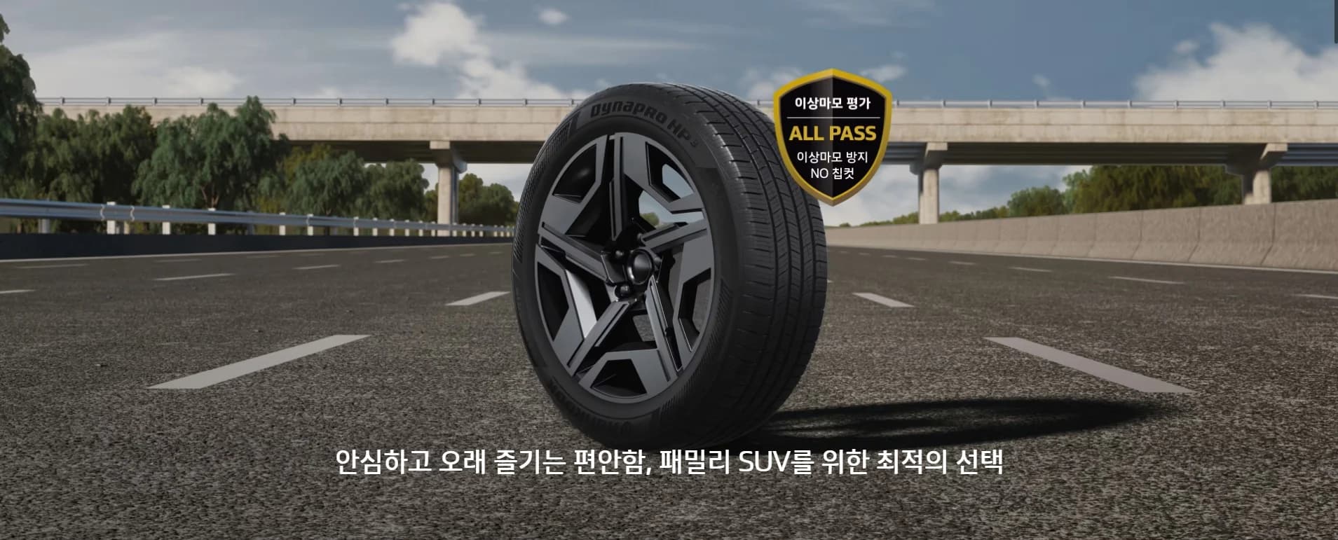 다이나프로 HP3 RA55 상세 설명 1