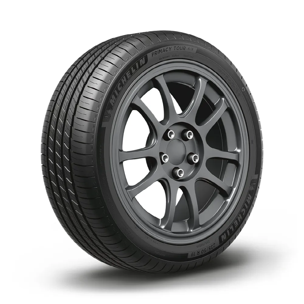 미쉐린 프라이머시 투어 AS 225/55R19
