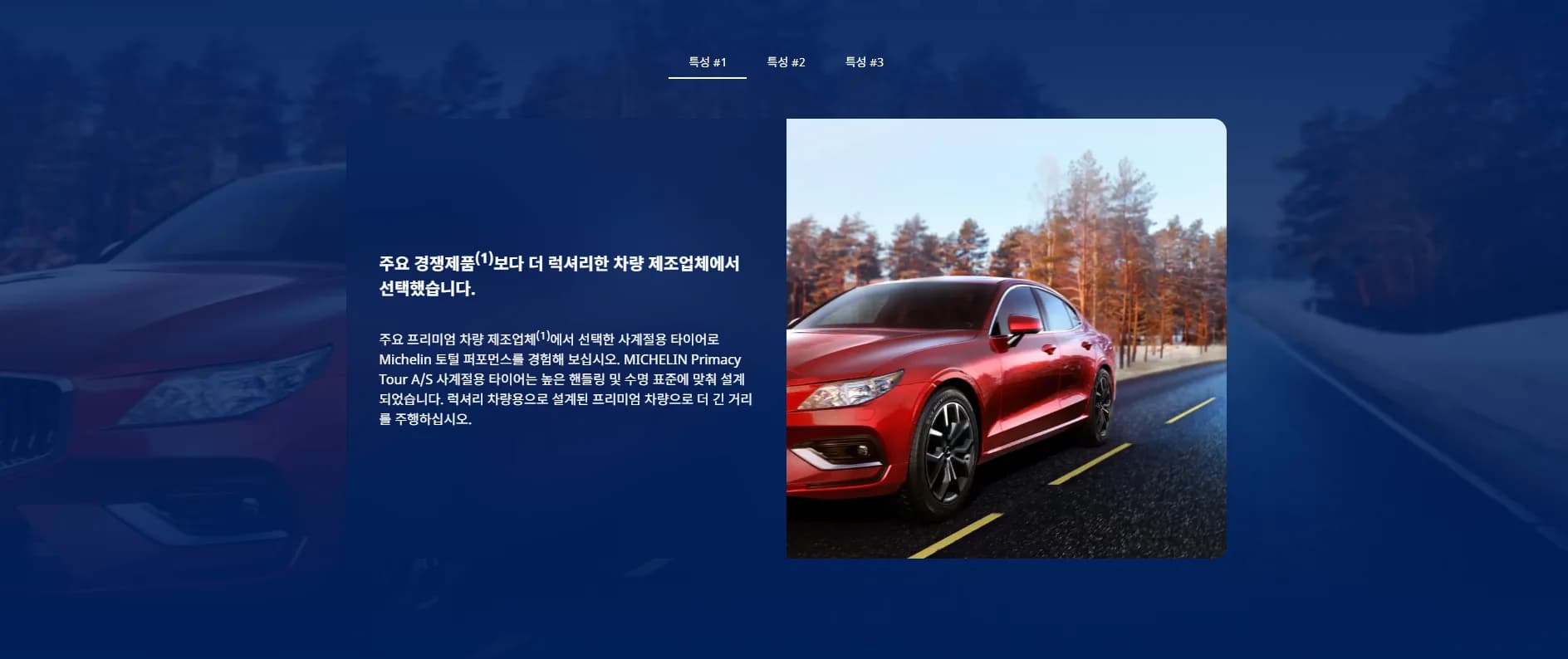 프라이머시 투어 AS GOE DT 상세 설명 1