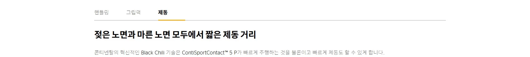 콘티스포츠콘택트5P MO 상세 설명 5